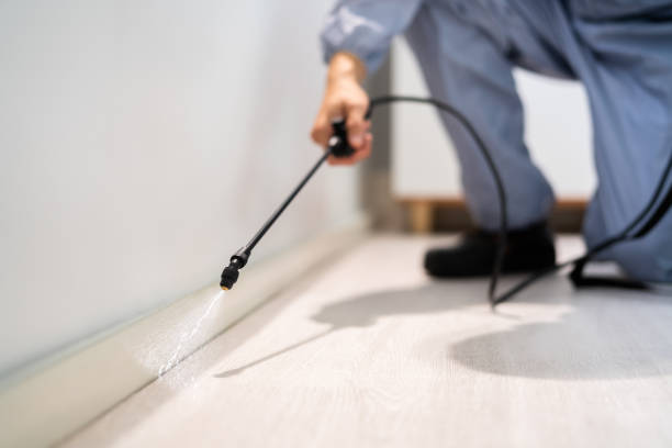 Rodent Entry Point Assessment in Elizabethton