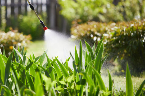 Tamper-Resistant Bait Stations for Rodents in Elizabethton